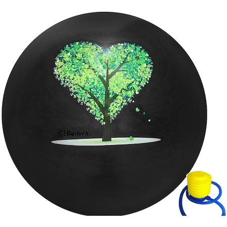 Bintiva Exercise Ball with Stabilizing Sand, 45cm, Black BN-SANDBALL-45BLK-BT