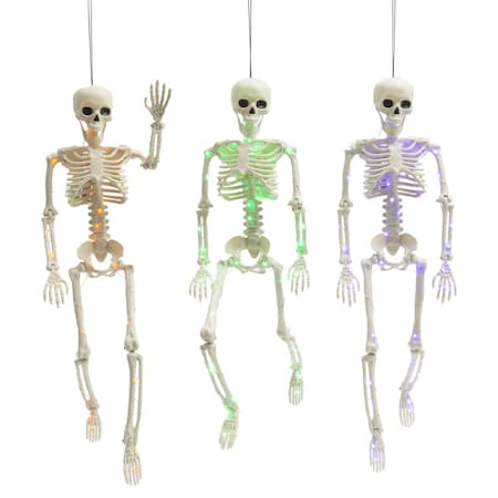 Gerson 24 in. Skeletons Halloween Decor 2738290
