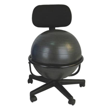 Step-Up Relief Mobile Metal Ball Chair with 22 in. Ball with Back ST475851