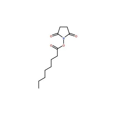 Ak Scientific 2, 5 Dioxopyrrolidin-1-yl-octanoate (10g), CAS 14464-30-3 X3898-10g