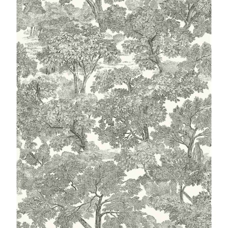 Chesapeake Spinney Black Toile Wallpaper 3115-12542