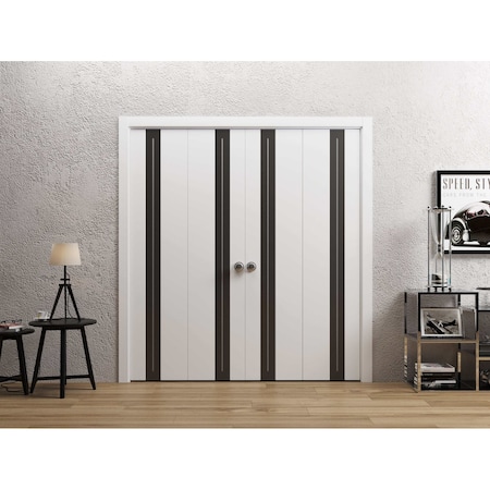 Sartodoors Sliding Closet Double Bi-fold Doors 96 x 96 inches, Planum 0444 White Silk with Black Inserts and F PLANUM0444DBF-WS-9696