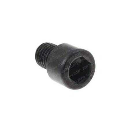 Cascade REPLACEMENT HEXAGON SOCKET HEAD CAP SCREW 206922