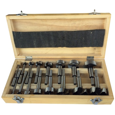Drill America 16 Piece Forstner Drill Bit Set DMS70-2016