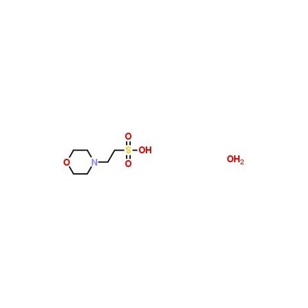 Ak Scientific MES monohydrate (25g), CAS 145224-94-8 F357-25g