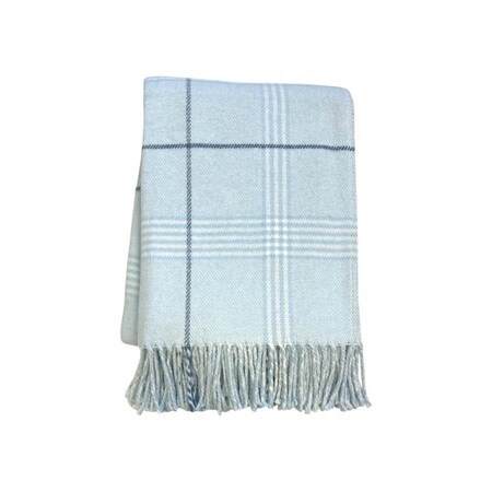Homeroots 50" X 67" Sky Blue And White Plaid Cotton Blend Woven Throw Blanket with Fringe 633071