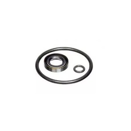 Fluke VITON SEAL KIT, P5515-V P5515SK-V