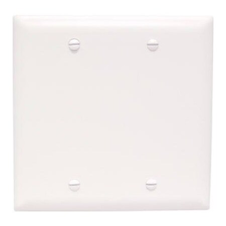 Pass & Seymour Wht 2G Blnk Nyl Plate TP23WCC12