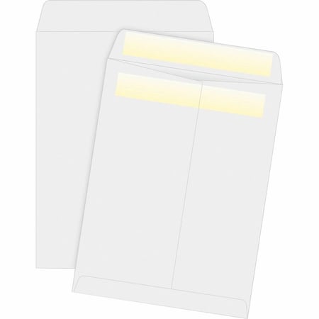 Business Source Filing Envelope, White, Paper, PK100 BSN04649