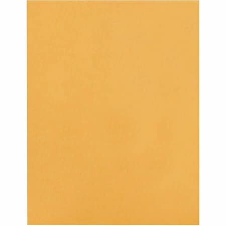 Business Source Filing Envelope, Brown, Kraft, PK100 BSN36664