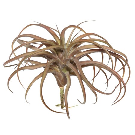 Vickerman 10.5 in. Red Tillandsia Pick FE172001