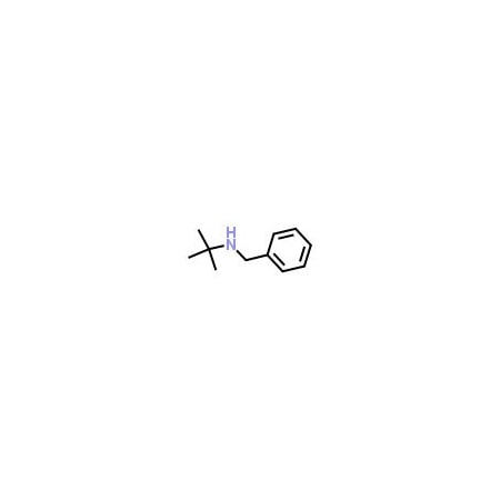 Ak Scientific N-(tert-Butyl)benzylamine (100g), CAS 3378-72-1 F628-100g