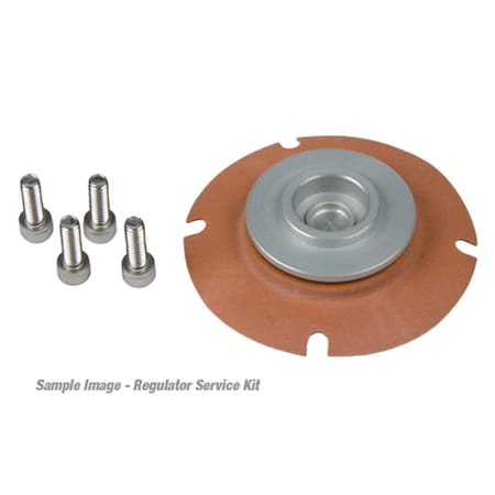 Aero-Motive Carbureted Regulator Service Kit 13006