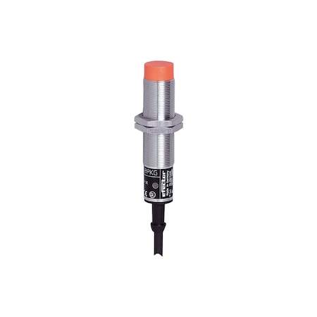 Ifm Inductive sensor IG5596
