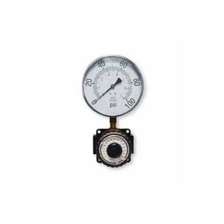 Reading Technologies Precision Regulator, 1/2 in Inlet/Outlet, 0 to 100 psi R4DG