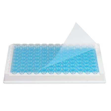 Mtc Bio Transparent ELISA Sealing film, 100/pk, 100PK P1001-E