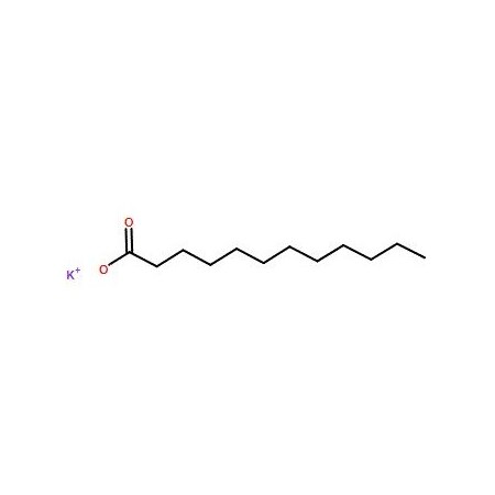 Ak Scientific Potassium laurate (1g), CAS 10124-65-9 6035AF-1g