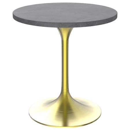 Leisuremod Round 27.55 in W, 29.34 in L, Sintered Stone/Stainless Steel, Grey VT20BG-27GRS