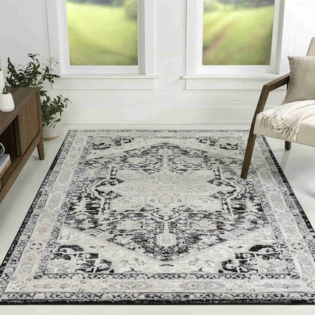 Jonathan Y Modern Persian Vintage Medallion Black/Ivory 5 ft. x 8 ft. Area Rug MDP106F-5