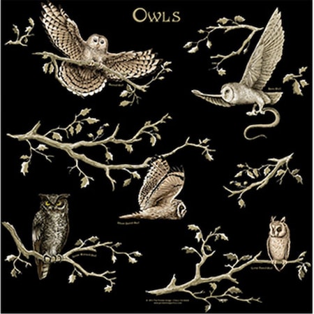 Perfectpitch 22 x 22 in. Owls Image Bandana PE3563647