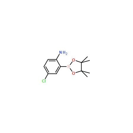 Ak Scientific 2-Amino-5-chlorophenyl boronic acid pinacol ester (1g), CAS 1073371-77-3 Y3633-1g