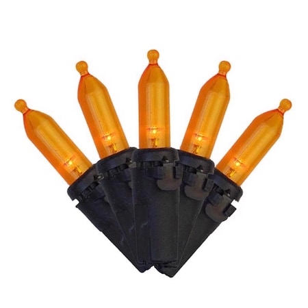 Celebrations Orange 100 ct LED String Lights 11-14053A