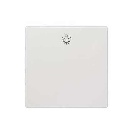 Siemens DELTA style, Titanium white Rocker switch with symbol Light for pushbutton 5TG7141-0TW20