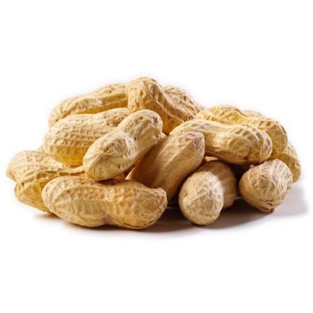 Enthusiastentusiasta 50 lbs Peanuts Raw in Shell for Wild Bird Feed EN1851551