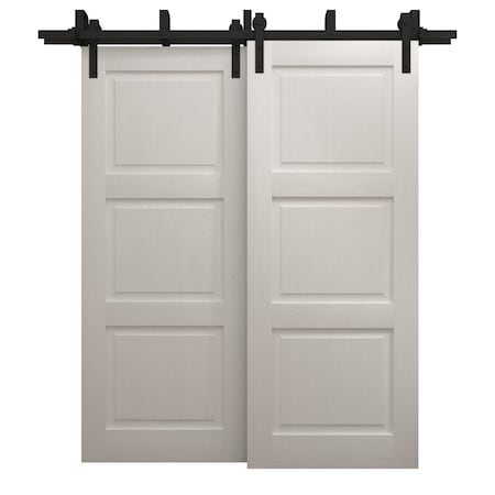 Sartodoors Sliding Closet Barn Bypass Doors 36 x 84 inches, Ego 5010 Painted White Oak, Modern 6.6ft Rails Ha EGO5010BBB-PWO-3684
