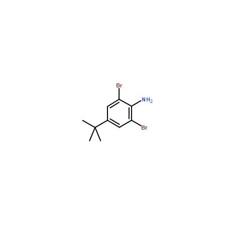 Ak Scientific 2, 6-Dibromo-4-tert-butylaniline (100g), CAS 10546-67-5 Z6806-100g