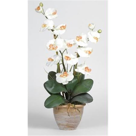 Dare2Decor Double Stem Phalaenopsis Silk Orchid Arrangement DA103046