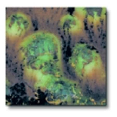 Sax True Flow  Non-Toxic Crystal Magic Glaze- 1 Pint- Cappuccino Mint 404847