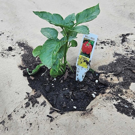 Ecomulch Natual Medium-Heavy Weight, Earthtone FRWP007424000000500