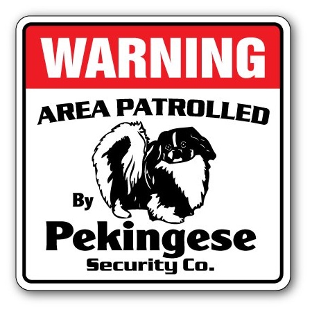 Signmission Pekingese, 8 Inch X 8 Inch, Decal D-8-WD-PEKINGESE