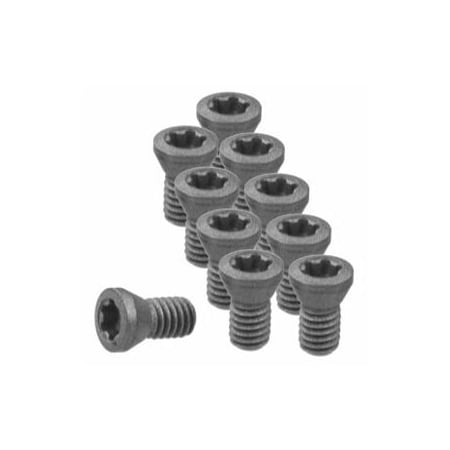 Garant Set of Insert Screws, 10 Pieces 219814