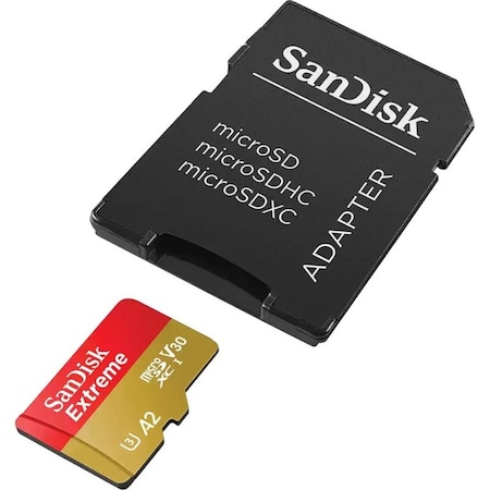 Sandisk Extreme 256 GB SDSQXAV256GAN6MA