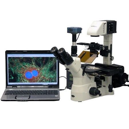 Amscope IN480 Inverted Infinity-corrected Phase-contrast Fluorescence Trinocular Compound Microscope 40X-90 IN480TA-FL-5MF