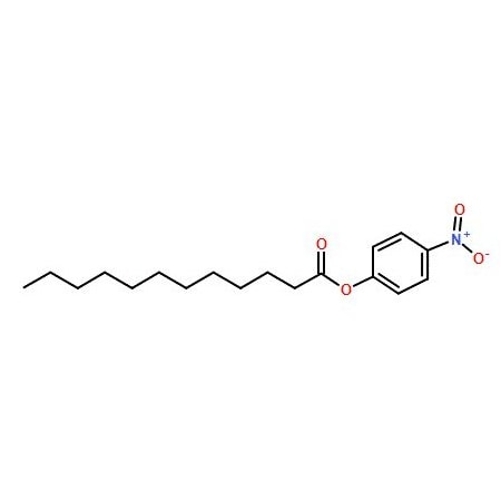 Ak Scientific 4-Nitrophenyl laurate (1g), CAS 1956-11-2 X6666-1g