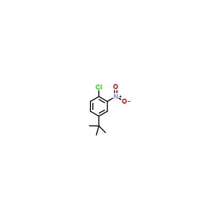 Ak Scientific 1-tert-Butyl-3-nitro-4-chlorobenzene (25g), CAS 58574-05-3 I127-25g