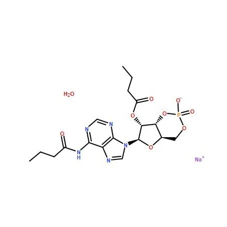 Ak Scientific Bucladesine Sodium Salt (100mg), CAS 16980-89-5 3901AH-100mg