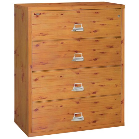Fireking Flexible storage and 1200 Deg/1 Hr. Fire Rating Black EFC-3422-DBL