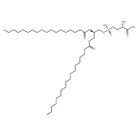 Ak Scientific Phosphatidyl-L-serine (25g), CAS 51446-62-9 7161AB-25g