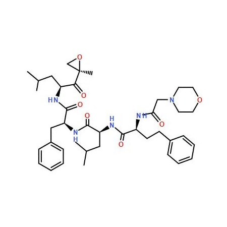Ak Scientific Carfilzomib (500mg), CAS 868540-17-4 Y0441-500mg