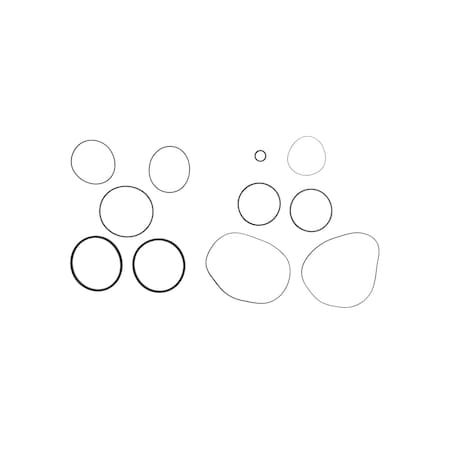 Fill-Rite Viton Seal Kit SK30VIT-V06