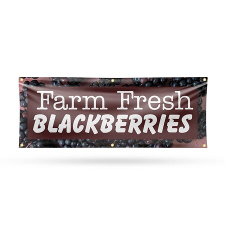 Signmission Farm Fresh Blackberries, 24 Inch x 72 Inch, Vinyl Banner B-72-30579