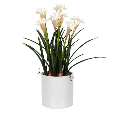 Vickerman 16.5 in. White Daffodil in Ceramic Pot FJ180301