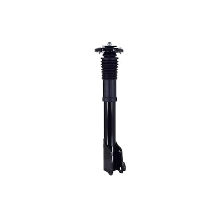 Fcs Struts Suspension Strut And Coil Spring Assembly 1334579