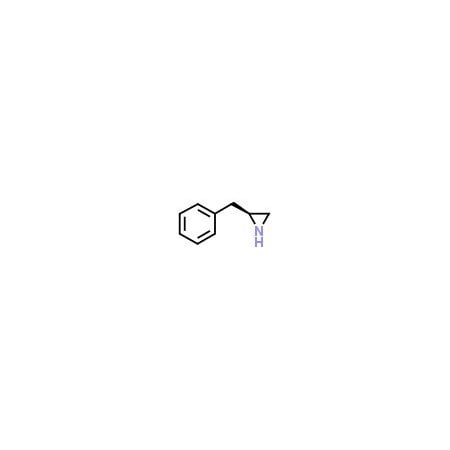 Ak Scientific (S)-Benzylaziridine (1g), CAS 73058-30-7 B711-1g