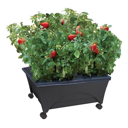 City Pickers 11 in. H X 24 in. W X 20 in. D Resin Garden Bed Charcoal 2340DW