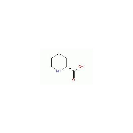 Ak Scientific D(+)-Pipecolinic acid (100g), CAS 1723-00-8 M234-100g
